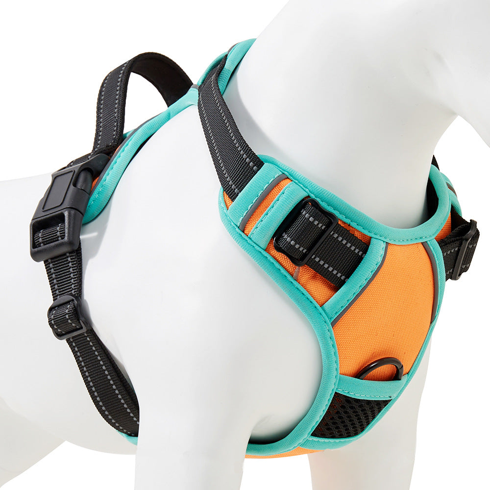 Dog outdoor vest
