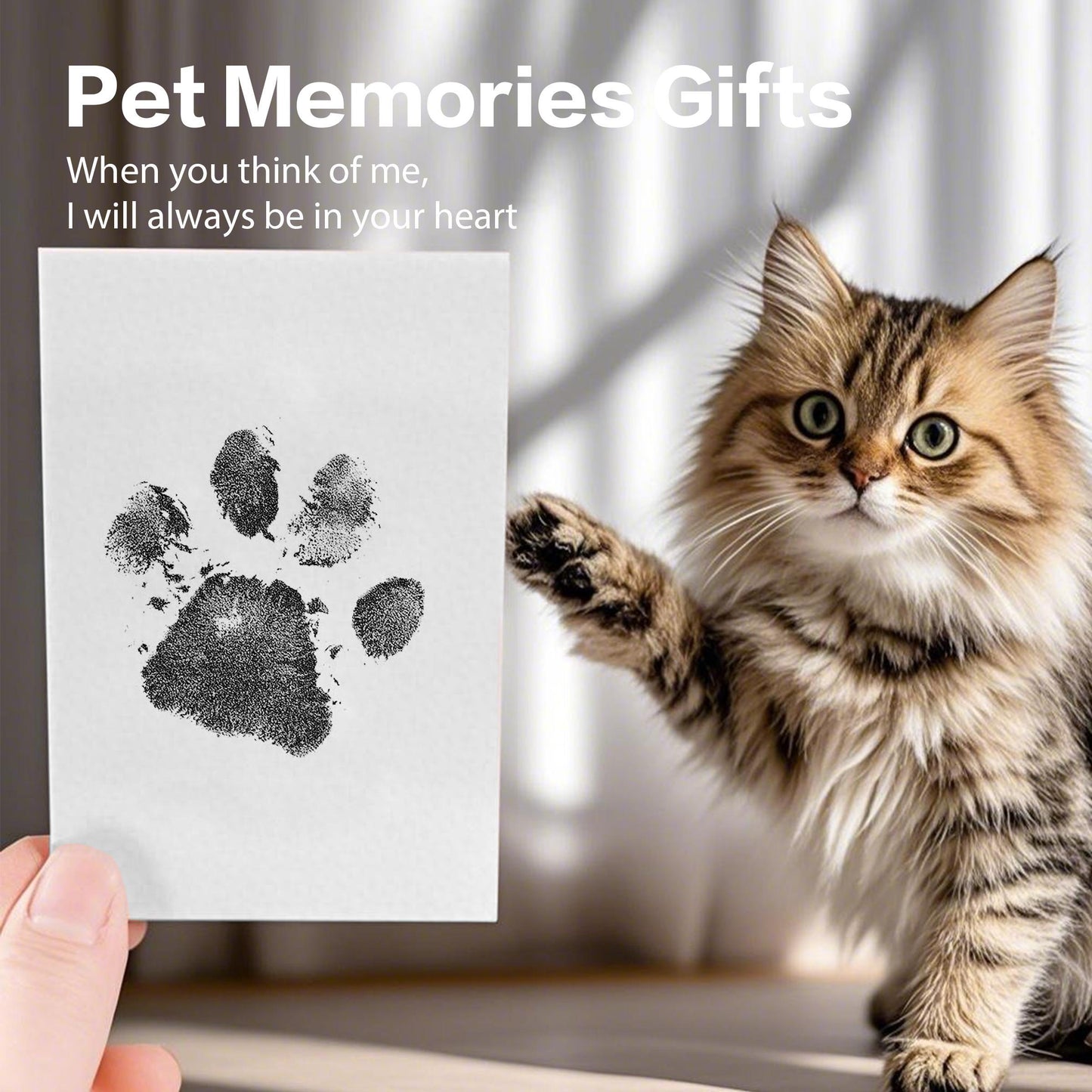 DIY Pet Paw Print Frame Kit β Personalized Keepsake!
