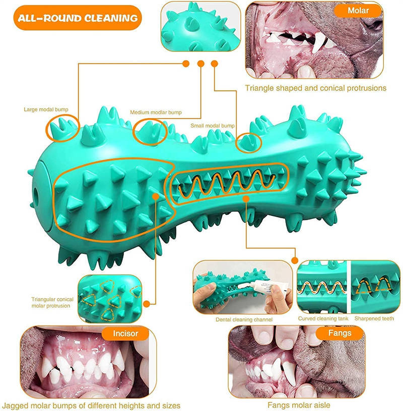 Indestructible Chew Toy – Cleans Teeth & Saves Shoes!