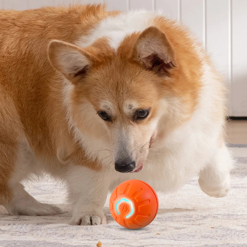 Smart Jumping Ball – Interactive Dog Toy