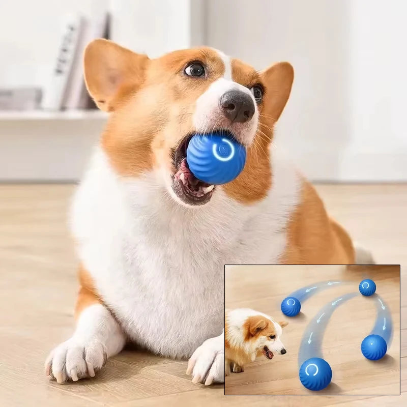 Smart Jumping Ball – Interactive Dog Toy