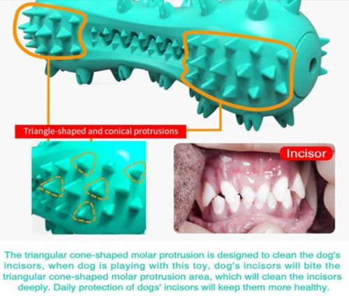 Indestructible Chew Toy – Cleans Teeth & Saves Shoes!