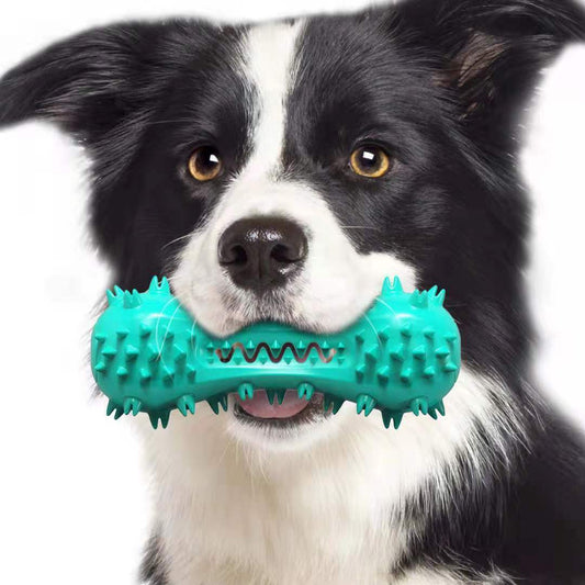 Indestructible Chew Toy – Cleans Teeth & Saves Shoes!