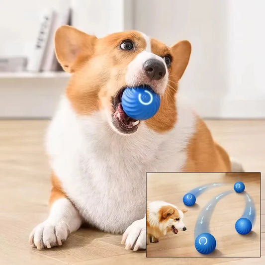 Smart Jumping Ball – Interactive Dog Toy